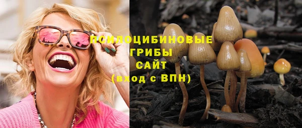 амфетамин Алексеевка
