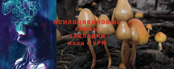 ECSTASY Алексин