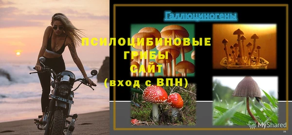 марки lsd Алзамай