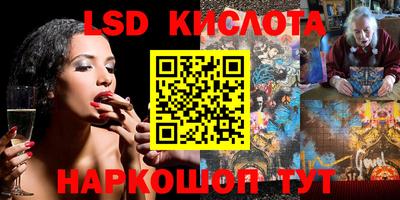 крисы Кинель