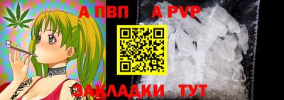 крисы Кинель