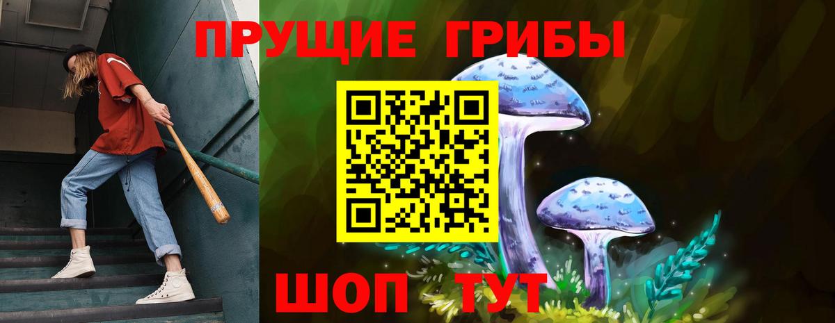 Моздок  Псилоцибиновые грибы Cubensis  Вход с VPN 
