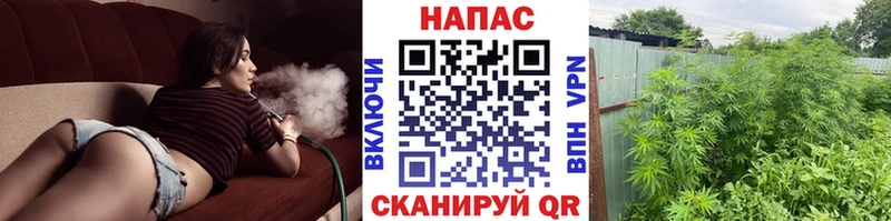 Бошки Шишки Amnesia  Моздок 